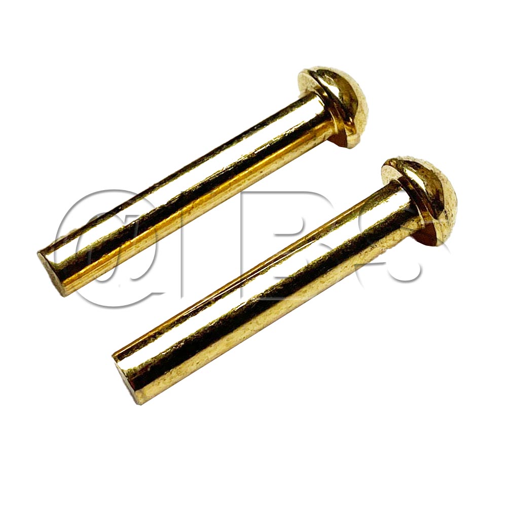 844-5750 Hingepins-Gold Doors
