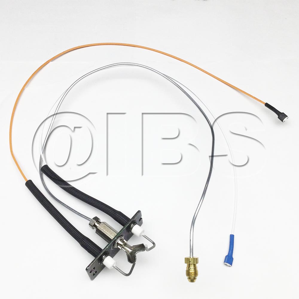 2166-370 Pilot Assembly Ng