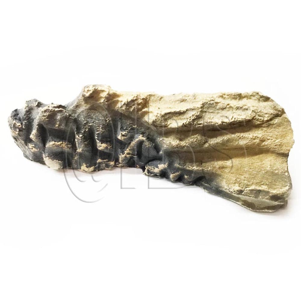 20005007K Log #V41 Right Uvs27