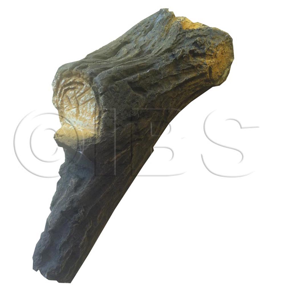 81D3039K Log 6 Nbst27