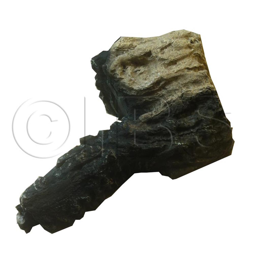 10007541 Log E10 Front Right